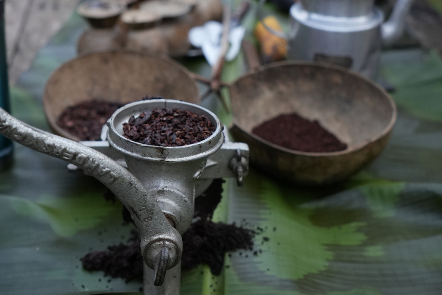 Proyecto Cacao